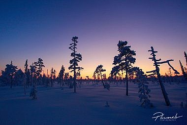 Distaņču slēpošana Somijā