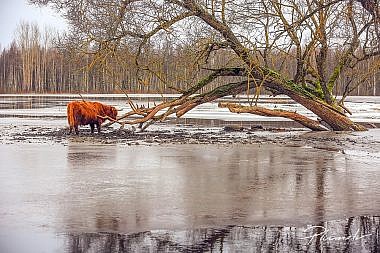 Mārtiņš Plūme | Igaunija 2016 | Fotografs Martins Plume Igaunija Soomaa national park estonia 1