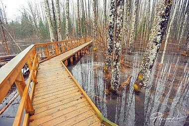 Mārtiņš Plūme | Igaunija | Fotografs Martins Plume Igaunija Soomaa national park estonia 40