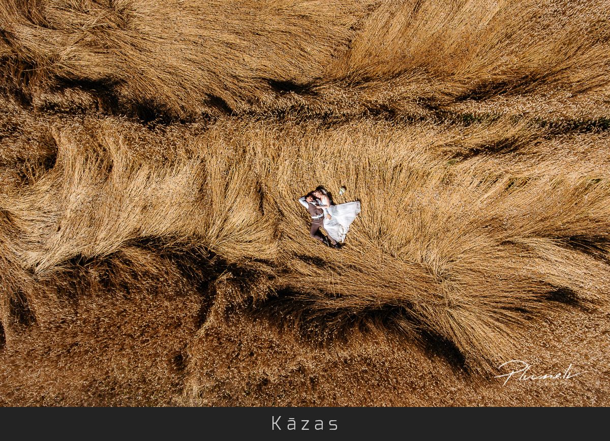 Mārtiņš Plūme | Sākumlapa | Kazas